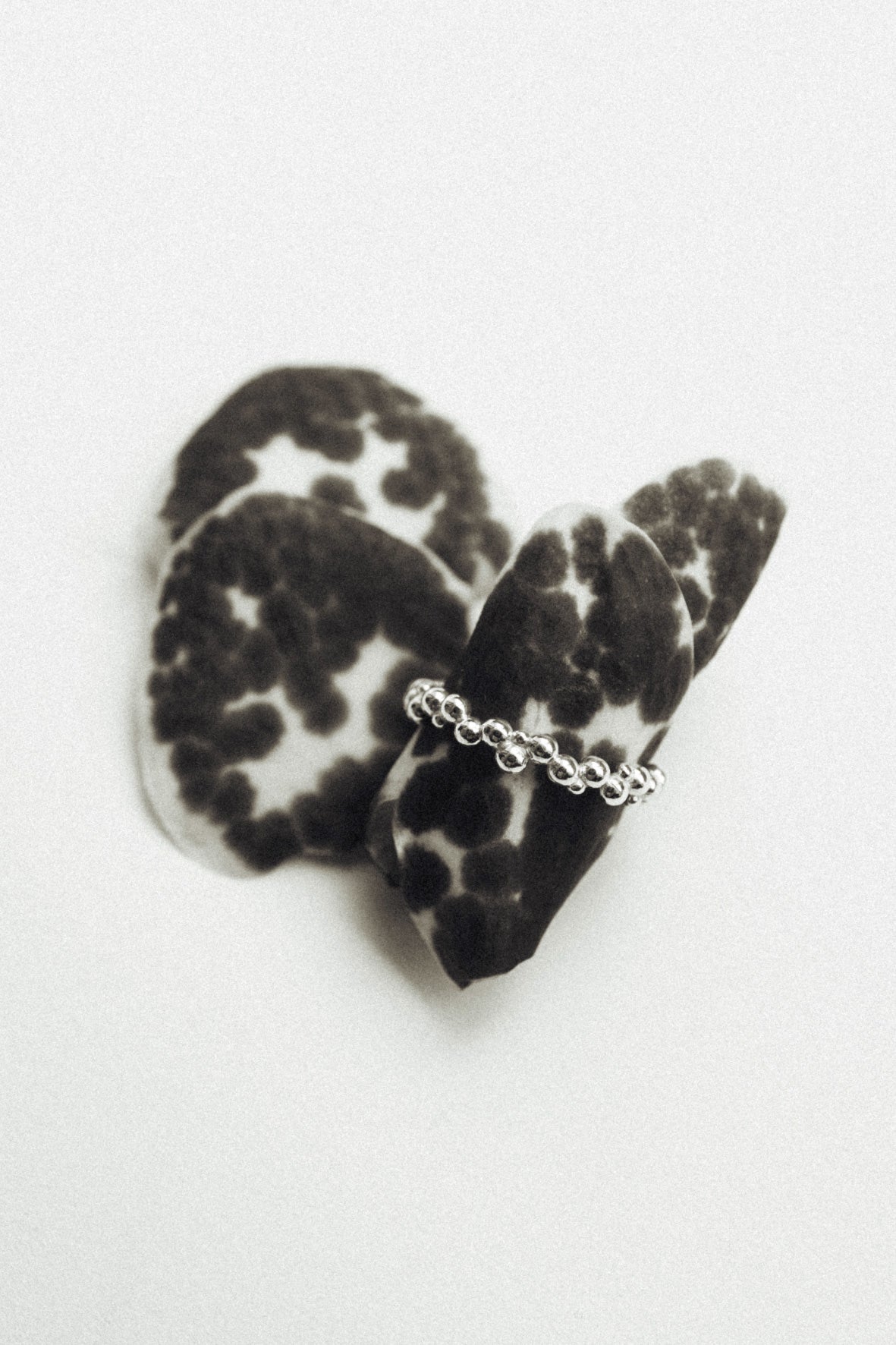 oo ring(silver/gold)