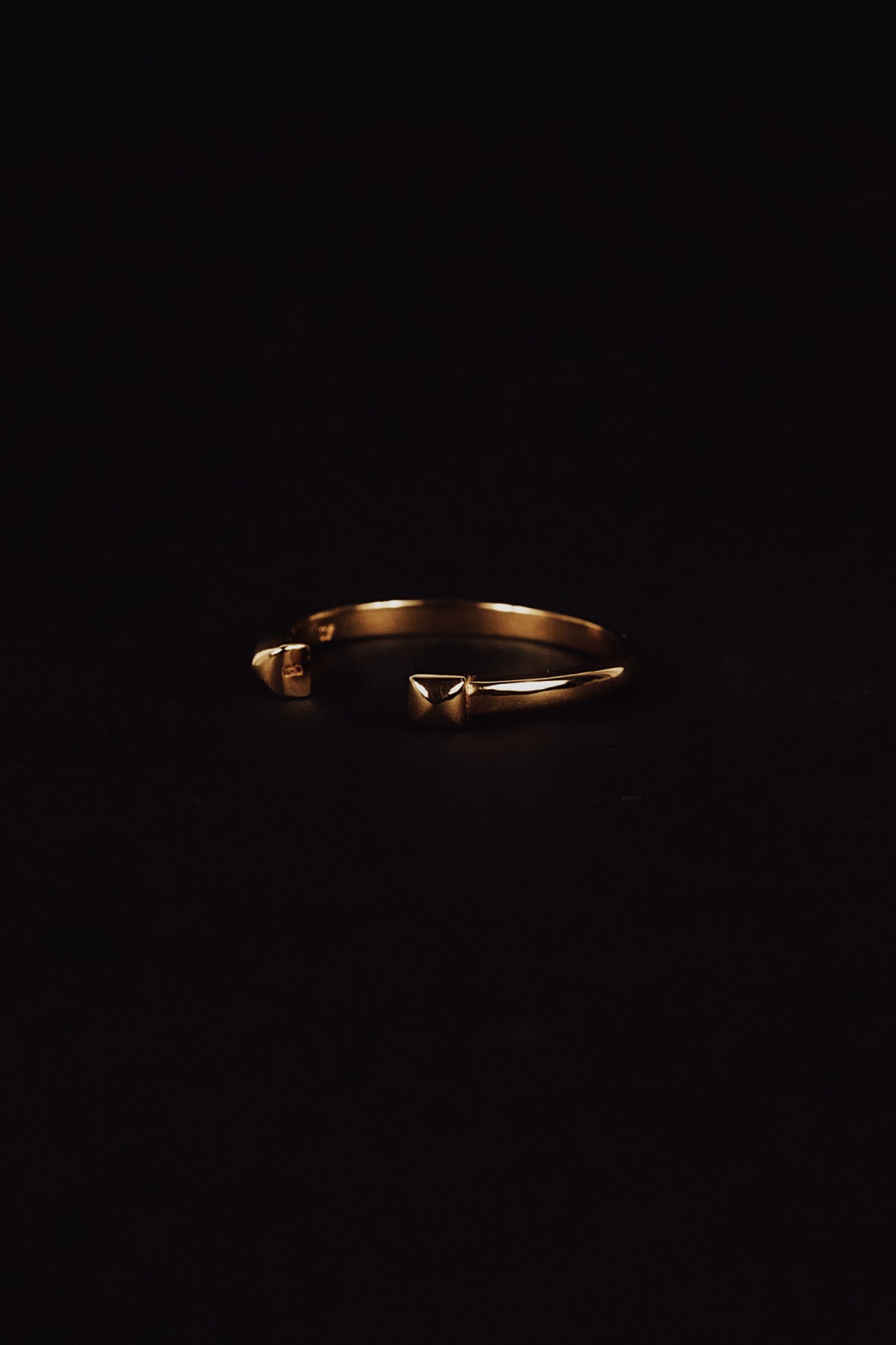 two studs ring(silver/gold)