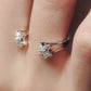 【受注商品】sea star ring(silver/gold)